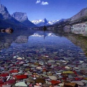 Meet your Posher, Tara